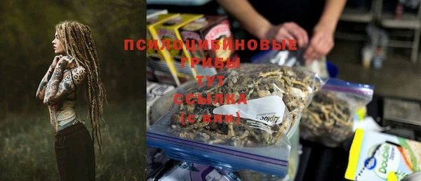 прущая мука Арсеньев