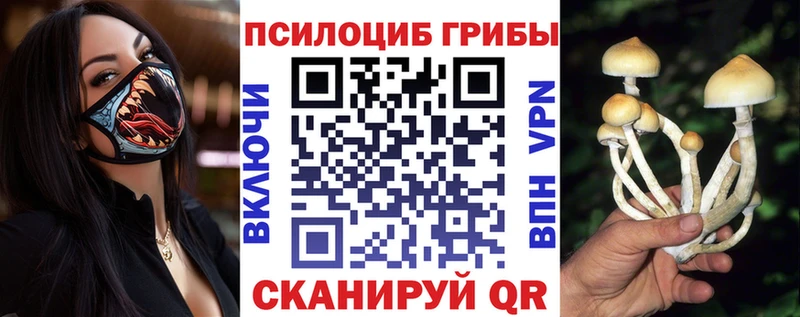Псилоцибиновые грибы прущие грибы  Гвардейск 